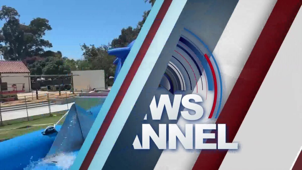 Annual Dolphin Derby Festival makes a splash at Chase Palm Park Sunday