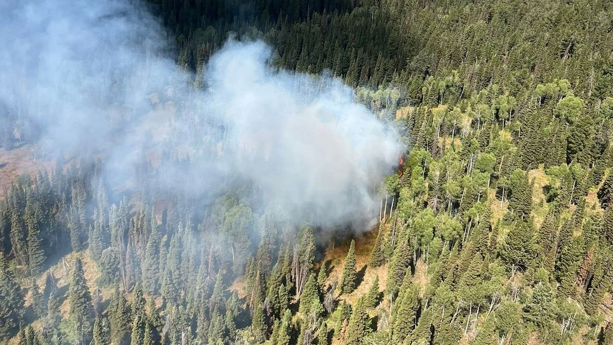Willow Creek Fire: Crews battling 15-acre wildfire in the Bridger-Teton National Forest