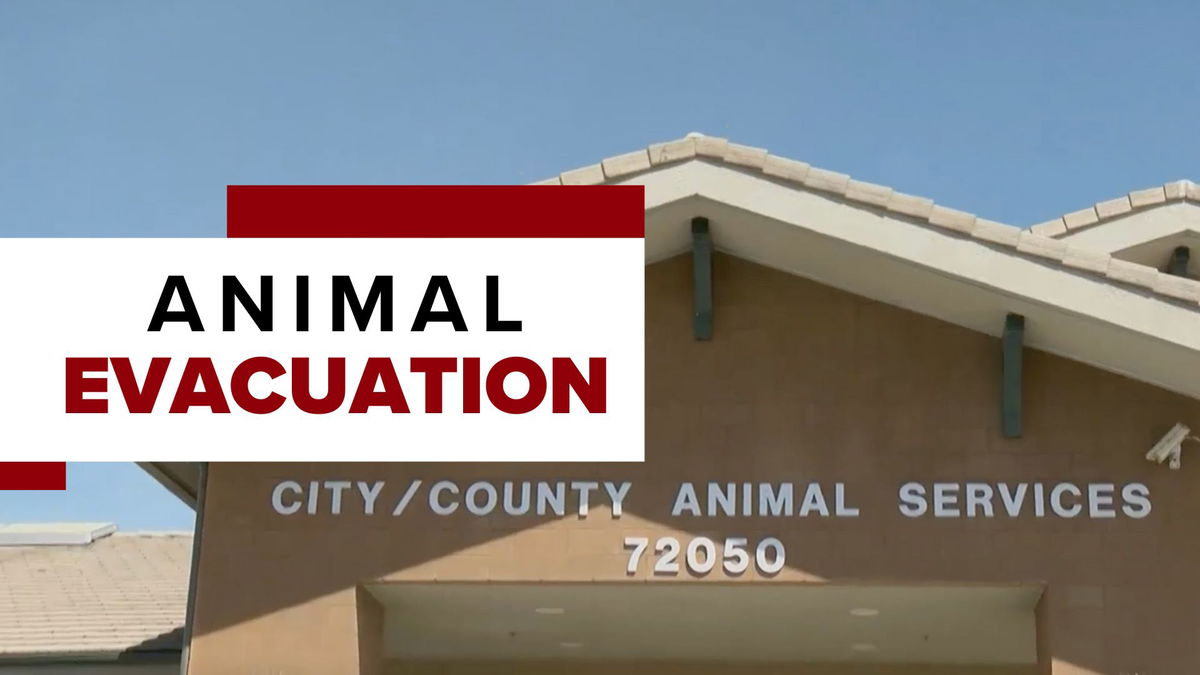 Coachella Valley Animal Campus taking in animals displaced by Rosa Fire