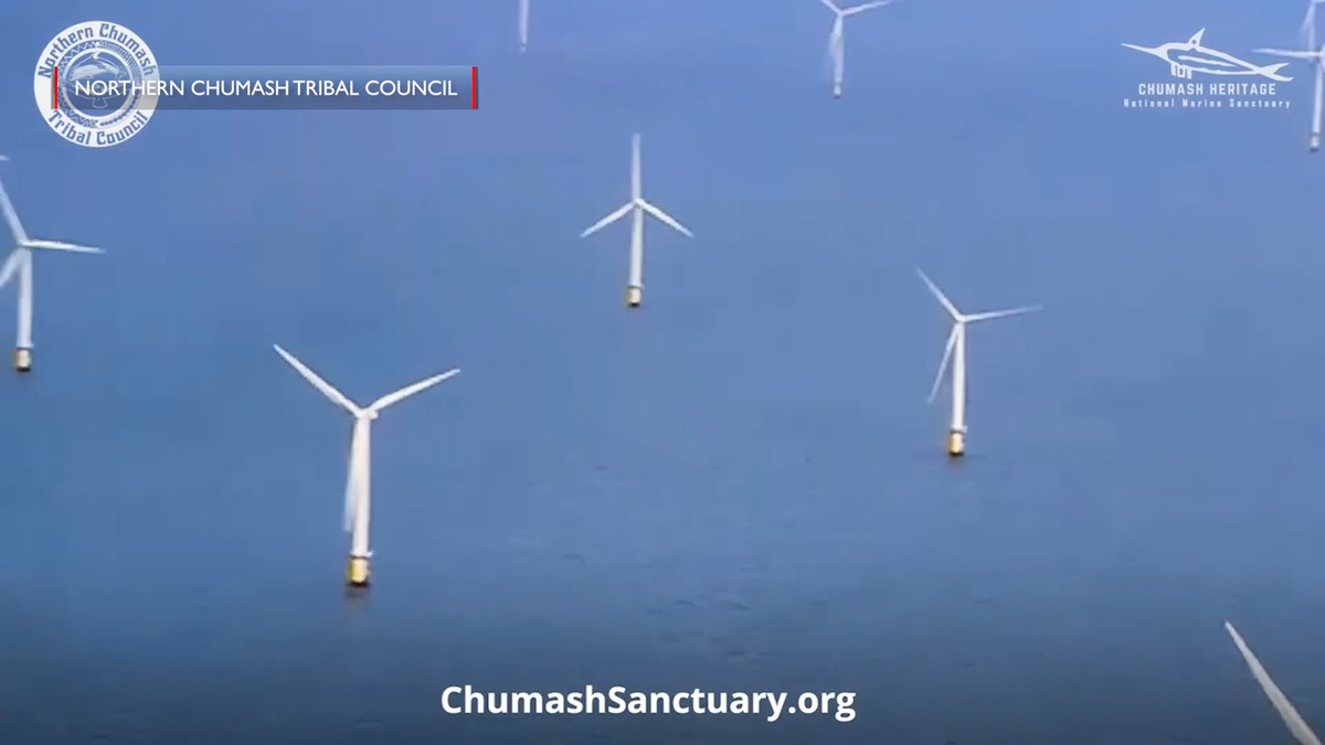 Trump Rollback on Offshore Wind Zones Sparks Backlash