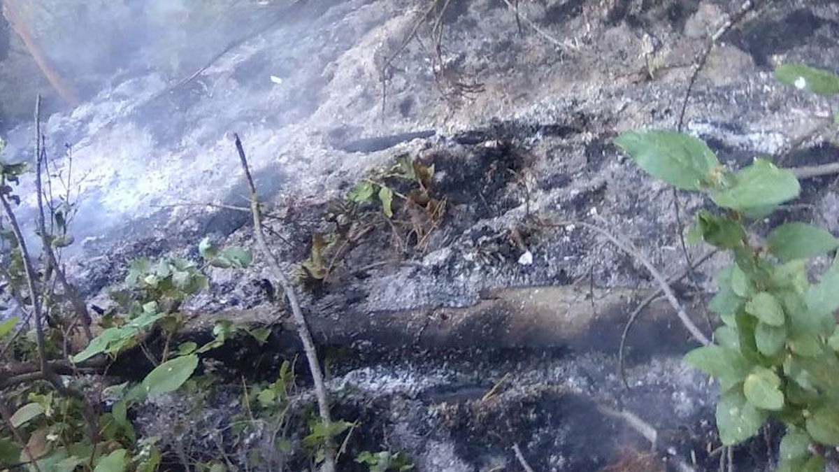 Firefighters actively suppressing Game Creek Fire near Jackson