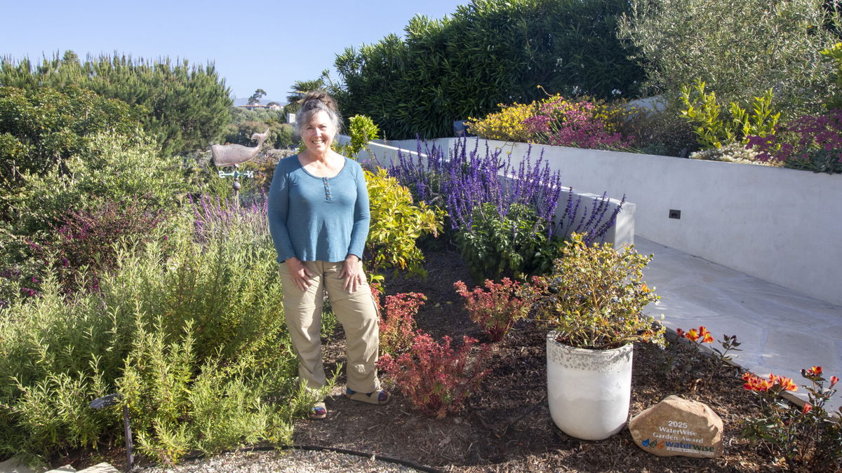 County-Wide Contest Recognizes Stunning
