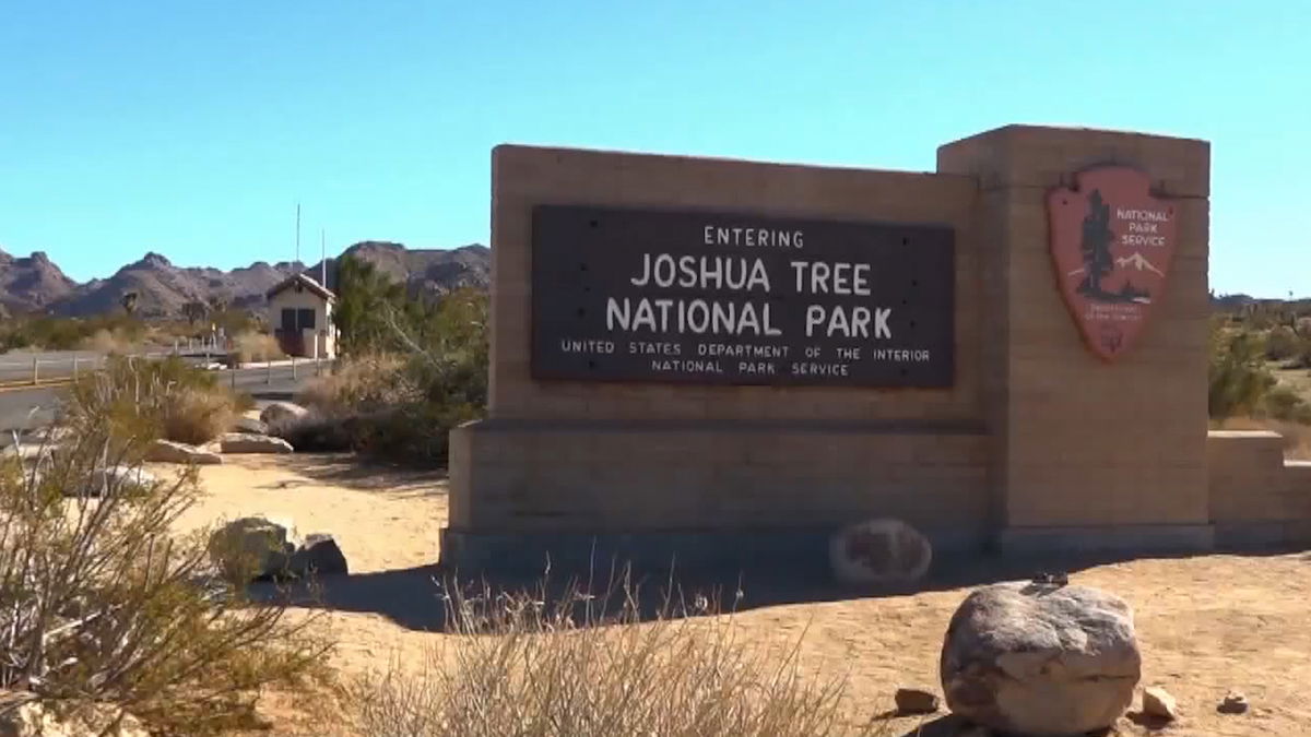 West entrance of Joshua Tree National Park closed to traffic during construction