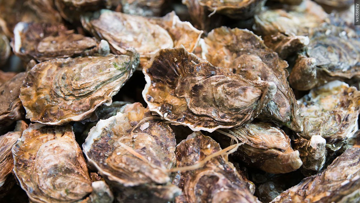 Utah County norovirus outbreak potentially caused by frozen oysters from South Korea
