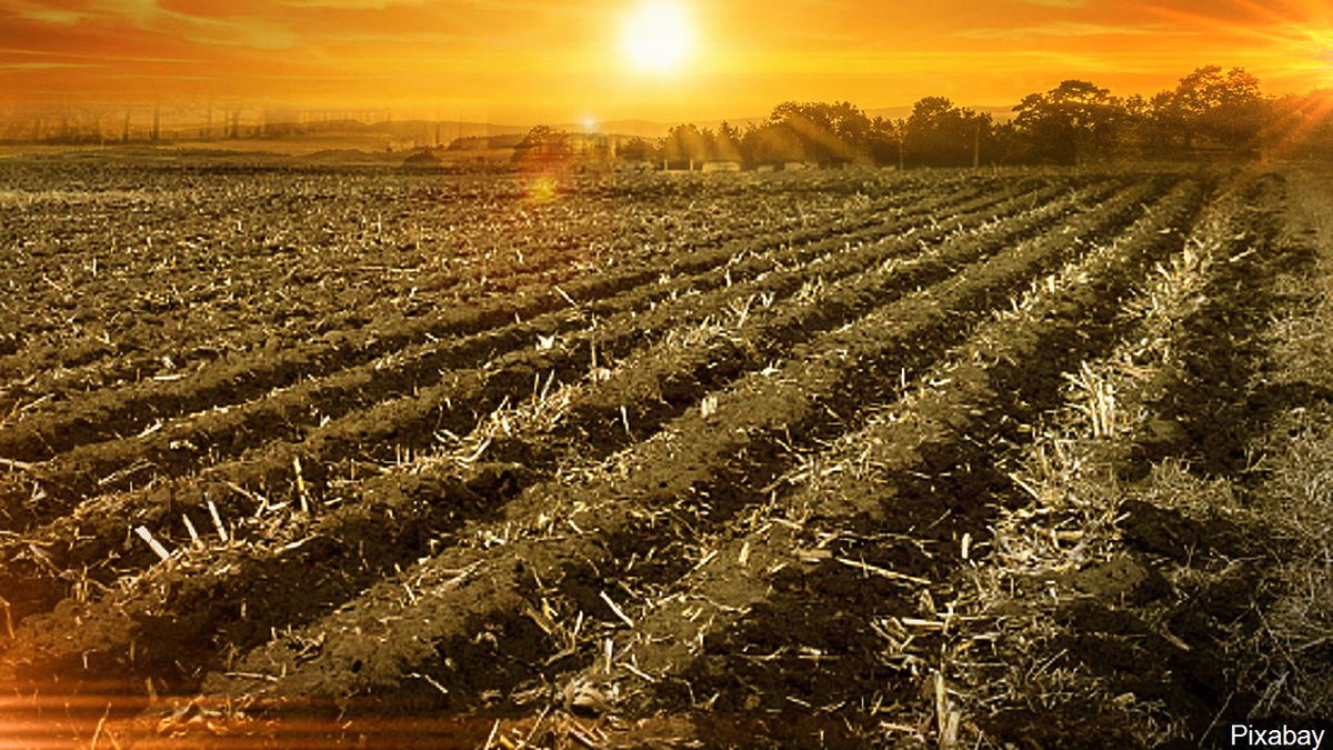 Salinas and Watsonville agriculture worker strike continues