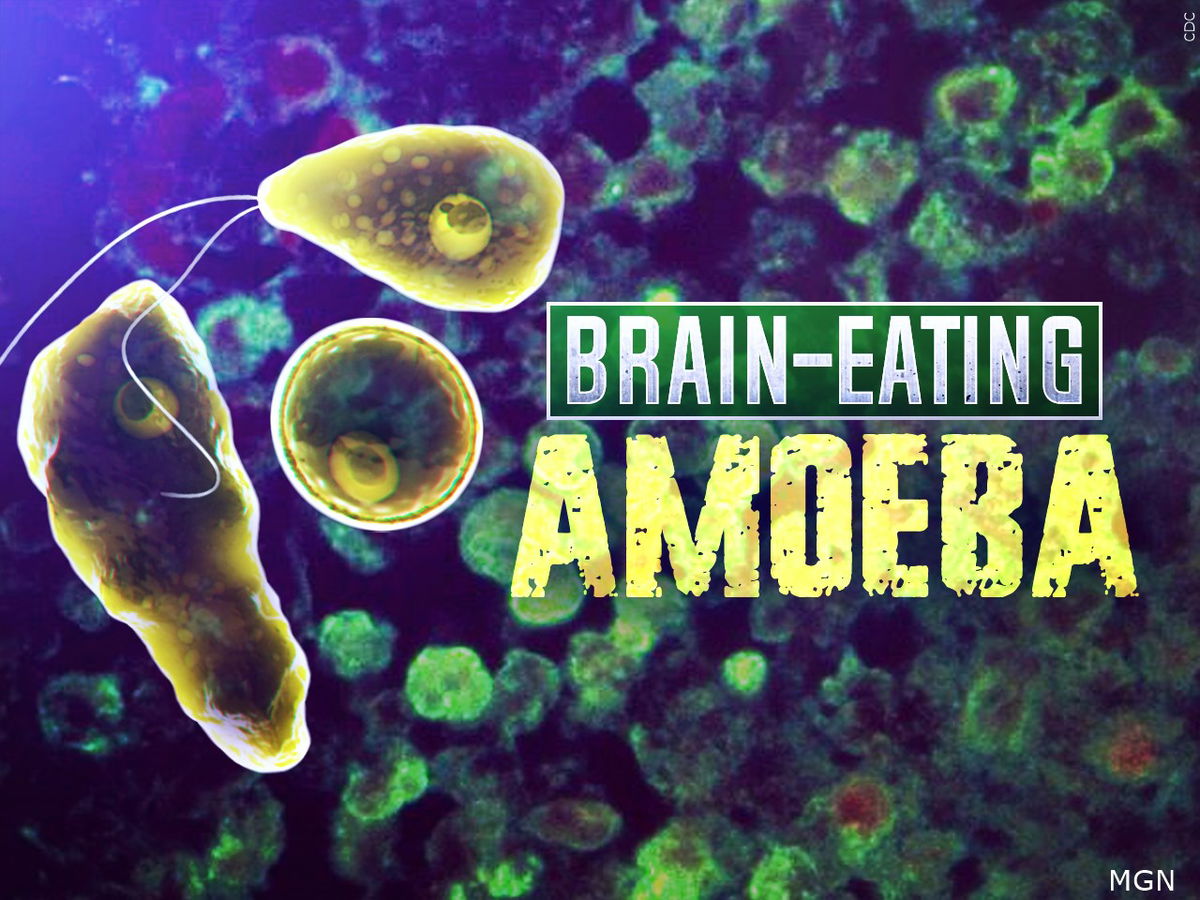 Limited number of ‘brain-eating’ amoeba cases leads to hurdles in treatment