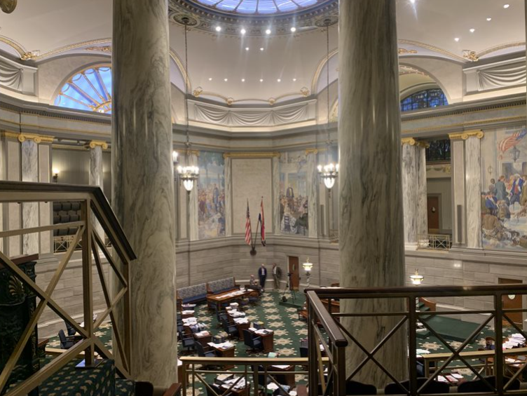 Jefferson City businessman seeks state Senate seat