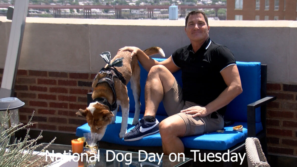 Celebrating National Dog Day at the Plaza Hotel