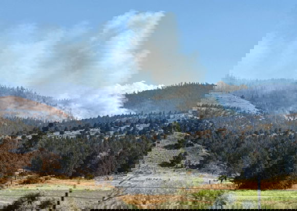 Evacuation alert lowered to Level 2 on 50-acre Pine Fire in SE Crook County as lines hold overnight