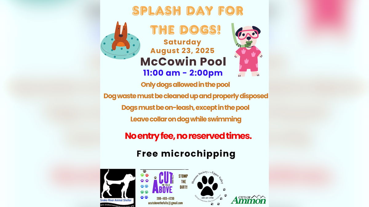 ‘Splash Day for the Dogs’ returns to McCowin Park Saturday August 23