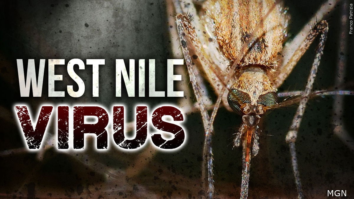 More West Nile Virus infected mosquitoes found in Bingham County