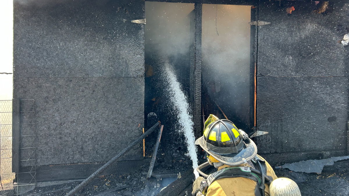 Quick action saves homes