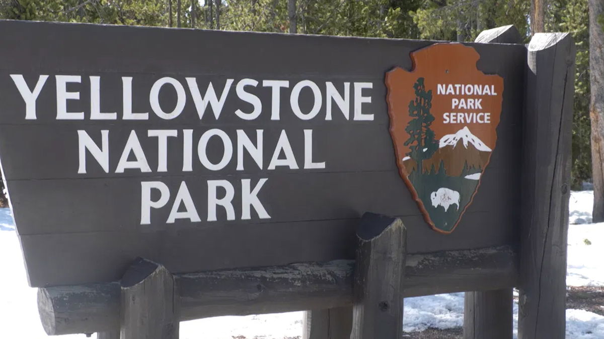 Yellowstone Park visits up by 1.5% in 2025