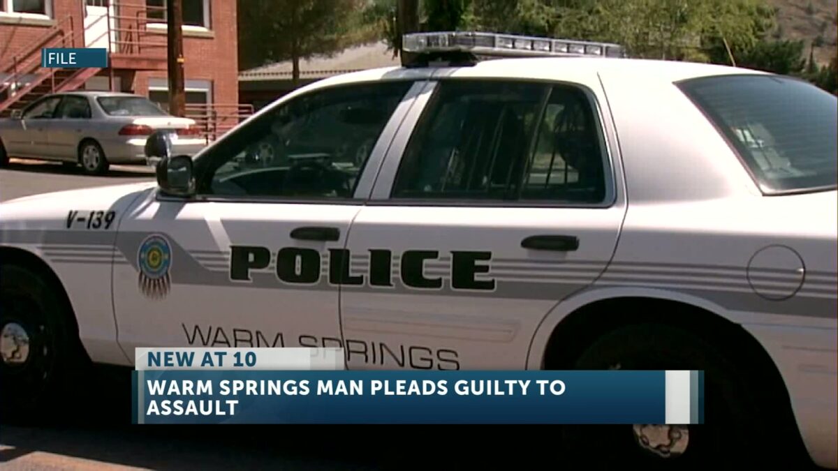 Warm Springs man pleads guilty to assault of girlfriend
