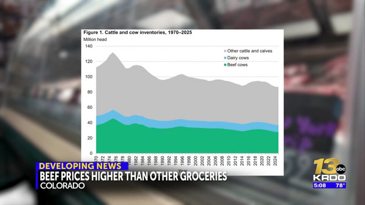 Local producer blames ‘big four’ packing plants for beef price hikes