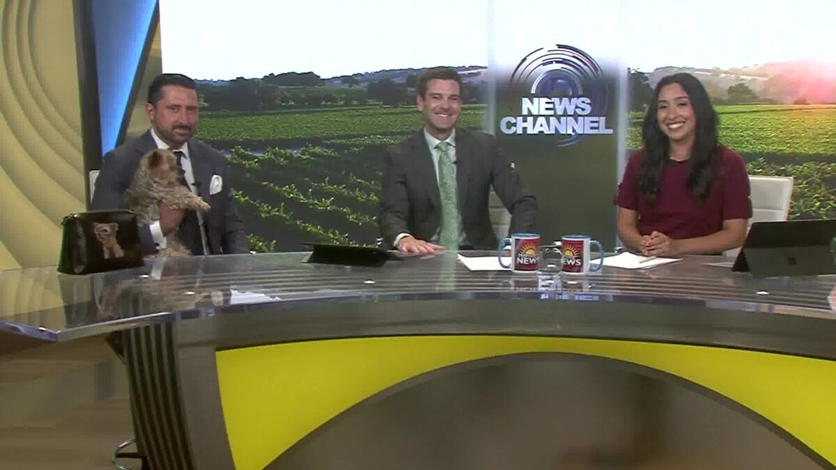 Rosewood Miramar Managing Director Rick Fidel joins the Morning News to talk about Miramar Best in Show