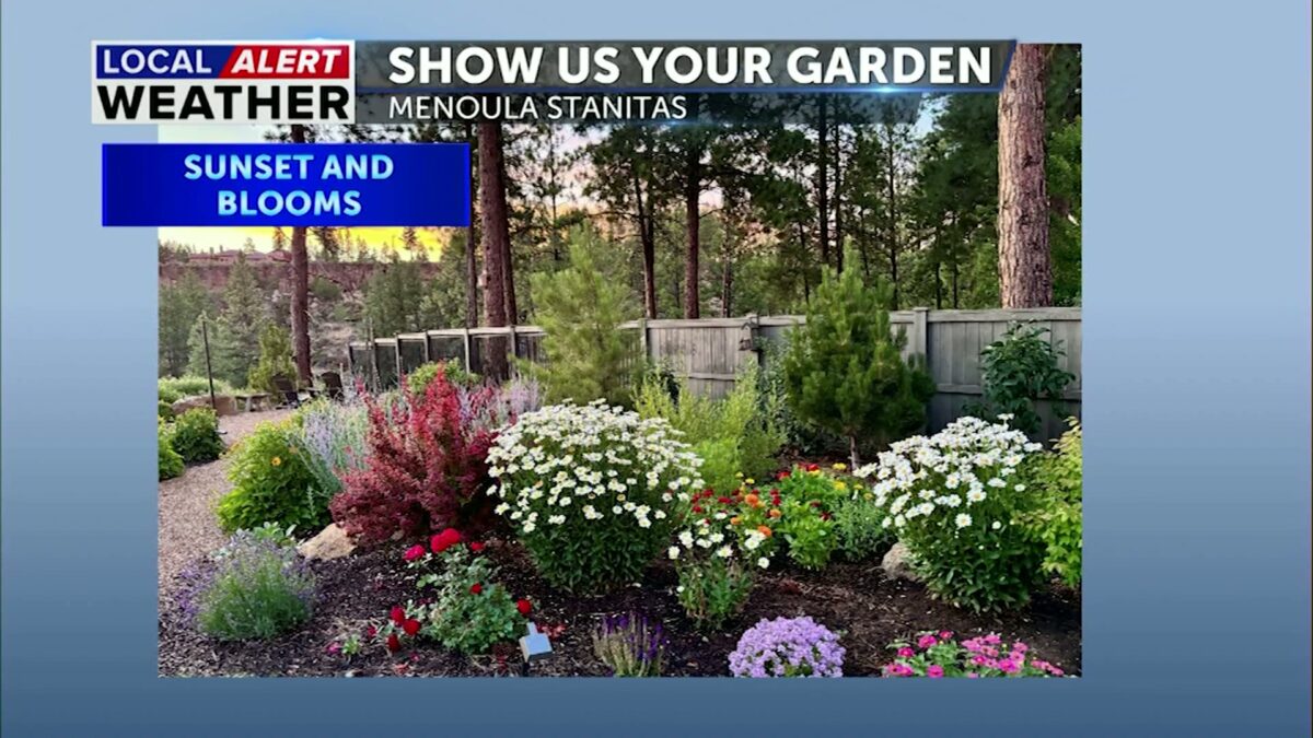 Show Us Your Garden: Blooms and views dominate this week’s garden highlights