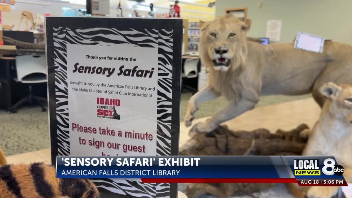 ‘Sensory Safari’ exhibit brings the jungle to American Falls District Library