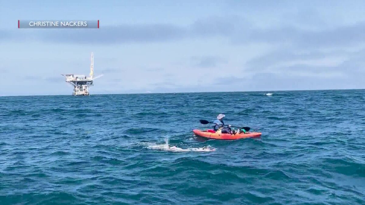 15-Year-Old Ventura Swimmer Completes 12-Mile Anacapa Island Crossing for Veterans and Firefighters