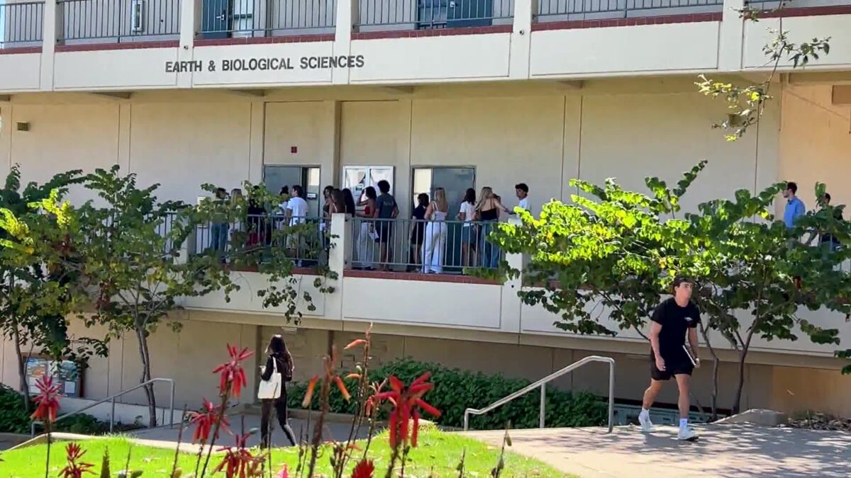 Santa Barbara City College returns with students planning their college future under some unique job conditions ahead