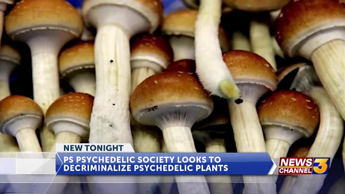 Locals attend PS Psychedelic Society event for decriminalizing natural psychedelic plants