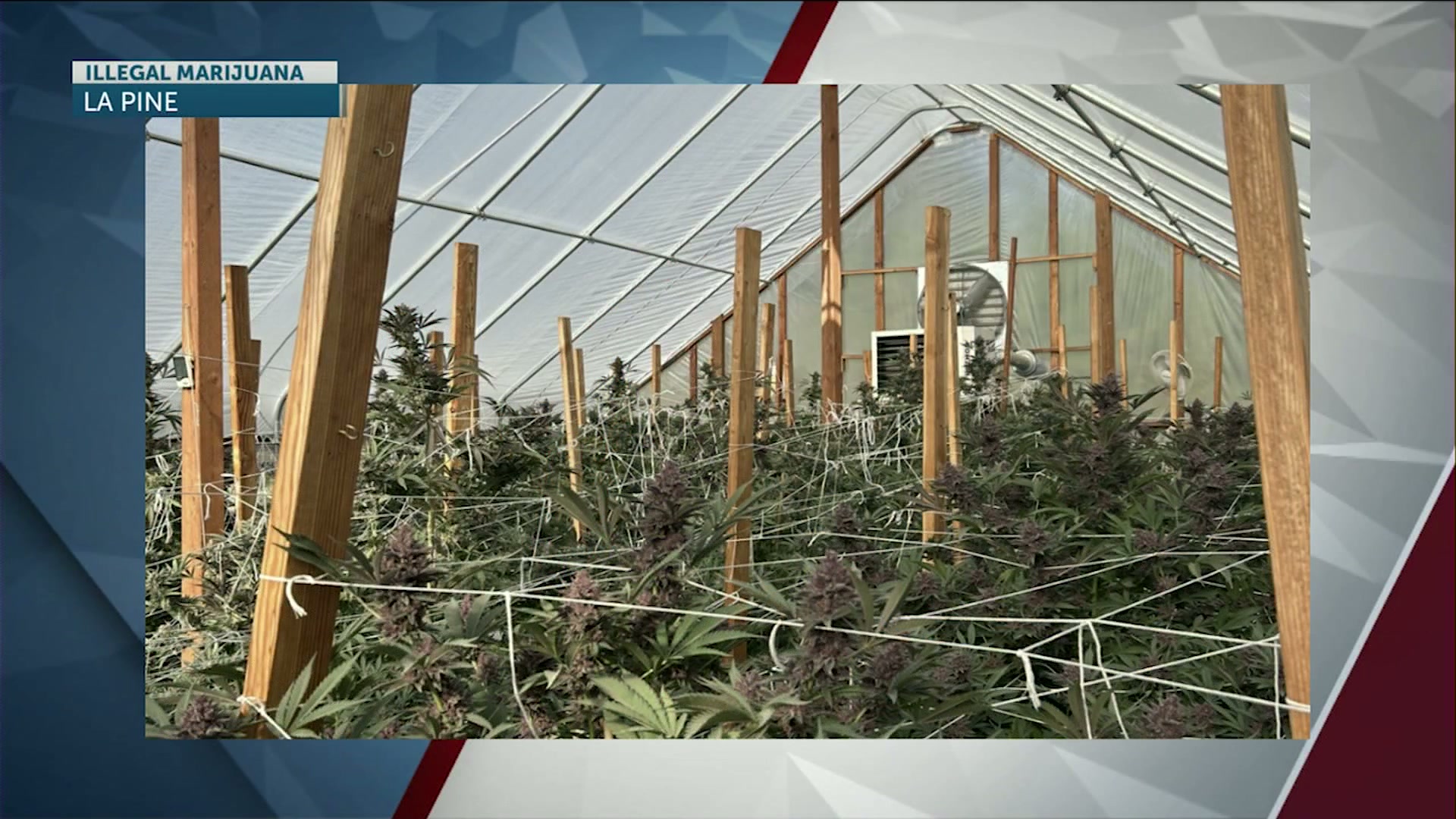 La Pine-area raid by Deschutes County Illegal Marijuana Market Enforcement Team turns up grow; owner cited