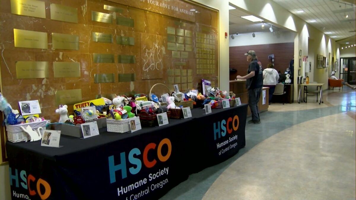 Central Oregon animal shelters are joining national ‘Clear The Shelters’ event throughout August