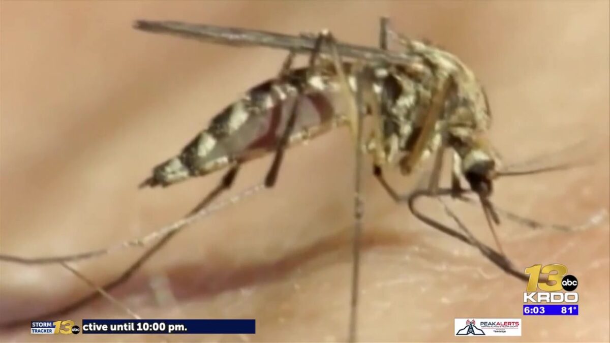 Two West Nile virus-related deaths confirmed in Fremont County