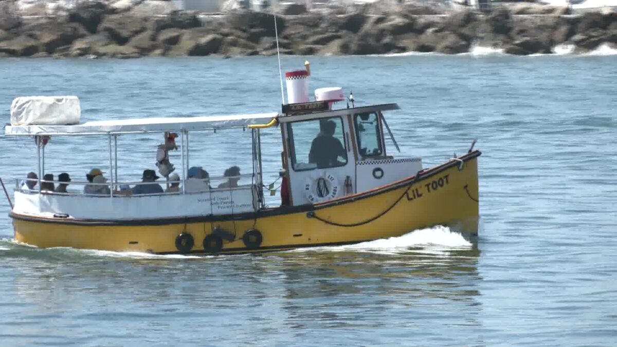Solid Sunshine Heats Up Businesses After a Simmering Summer Season in Santa Barbara