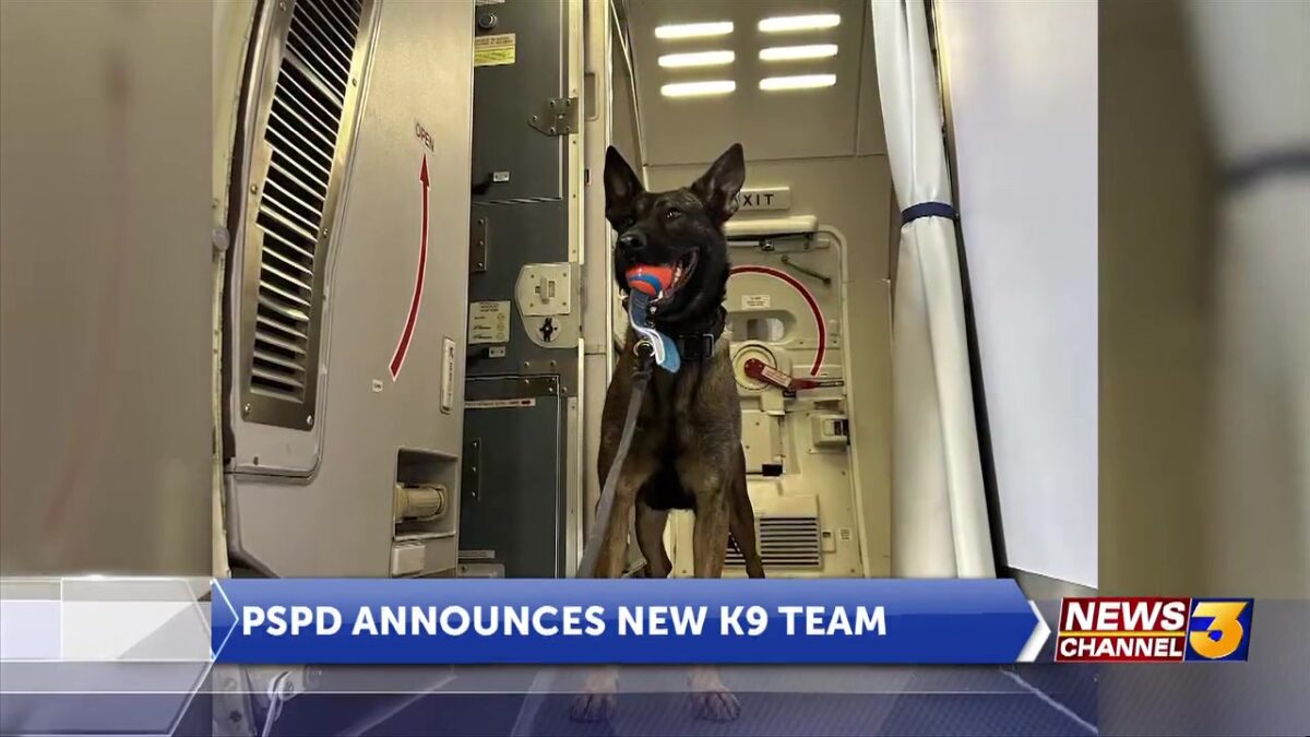New K-9 joins PSPD