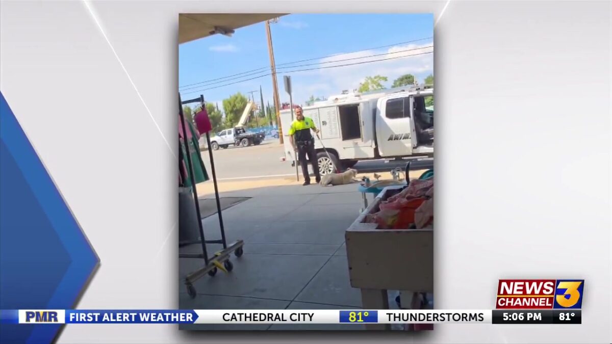 Beaumont animal control officer accused of ‘excessive force’ in handling of dog