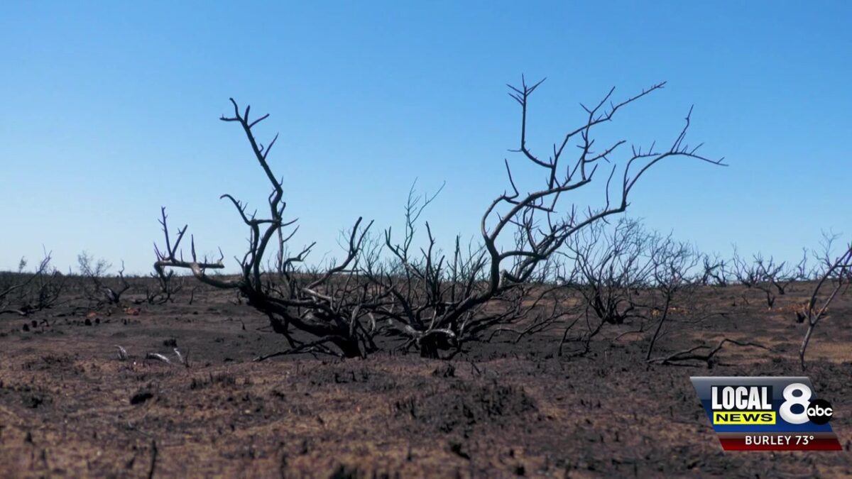 Sand Creek Fire reaches full containment