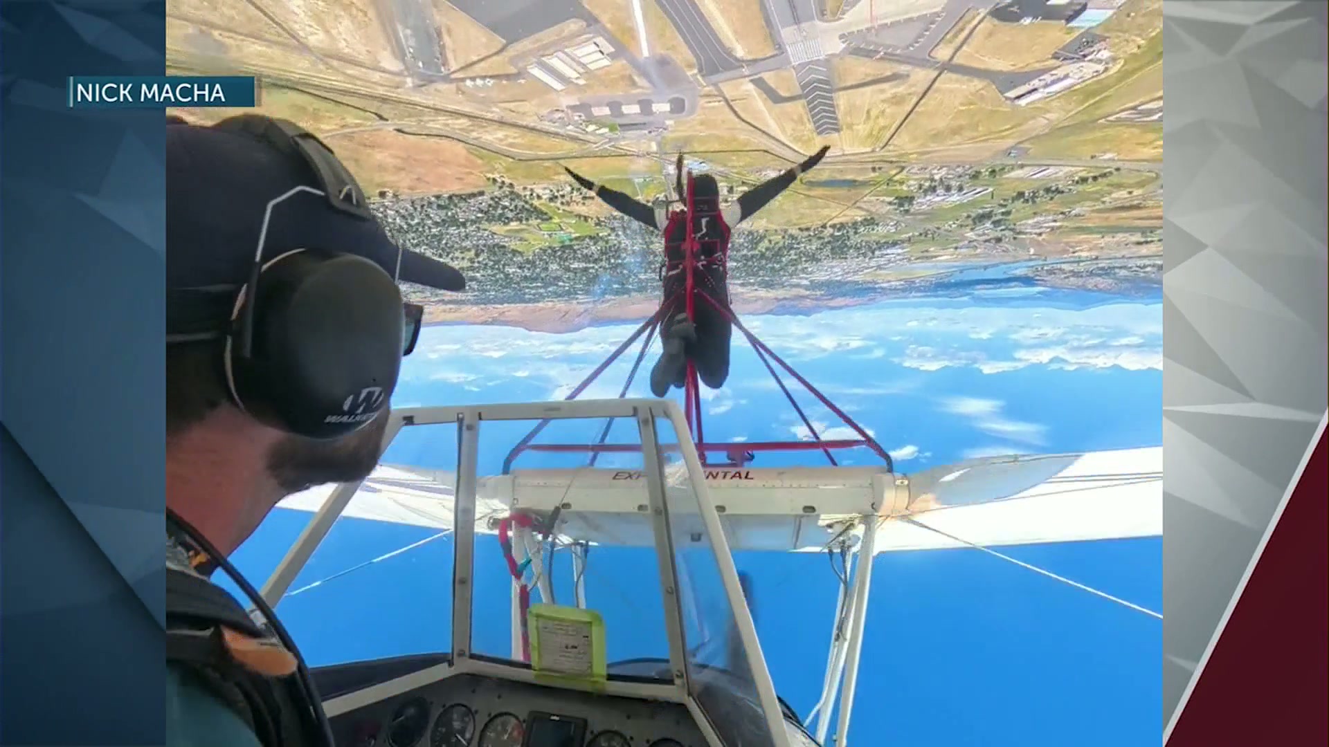 Meet Wingwalk Sam
