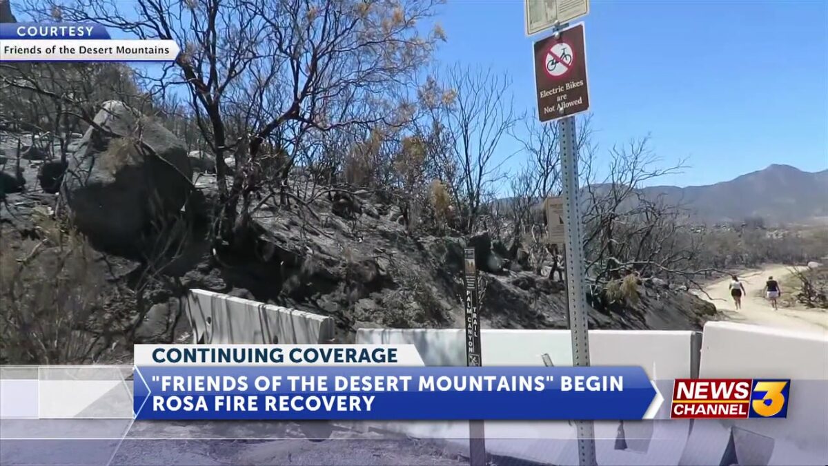 Friends of the Desert Mountains begin Rosa Fire recovery
