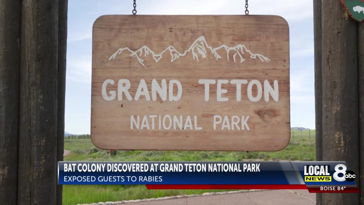 Wyoming Health and National Park Officials contact hundreds after potential rabies exposure