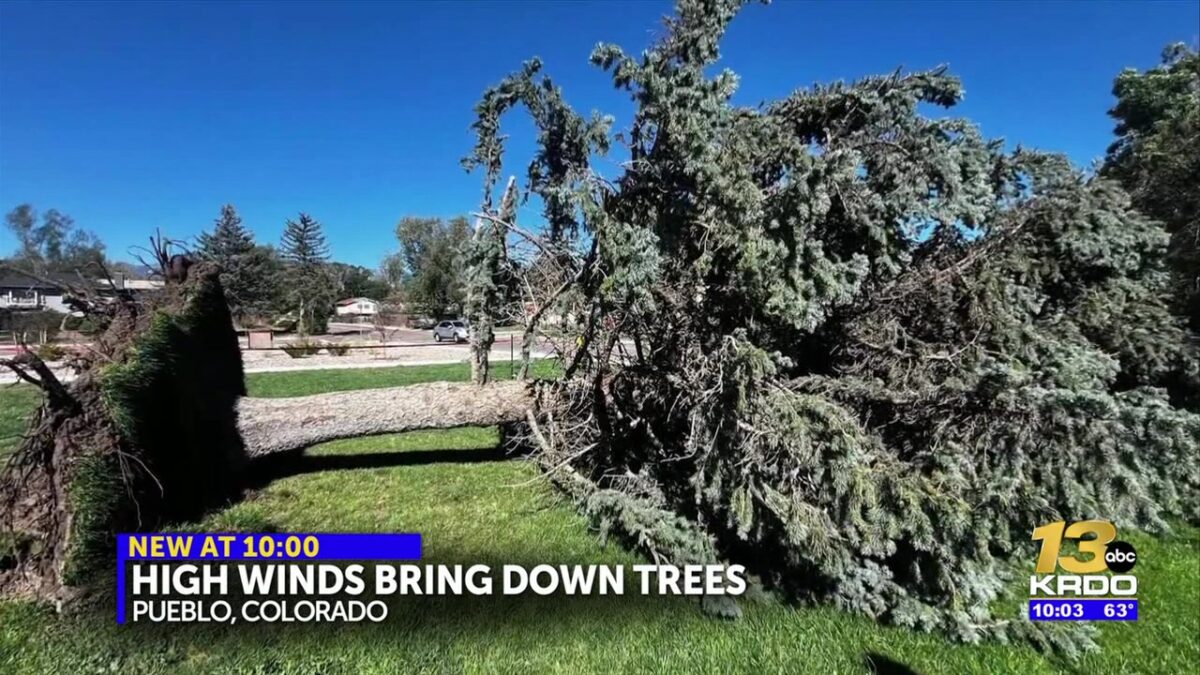 Windy conditions cause more fallen trees in Pueblo County leading to unsafe conditions