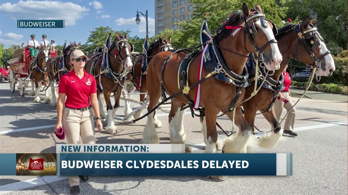 Famed Budweiser Clydesdales still coming to Deschutes County Fair