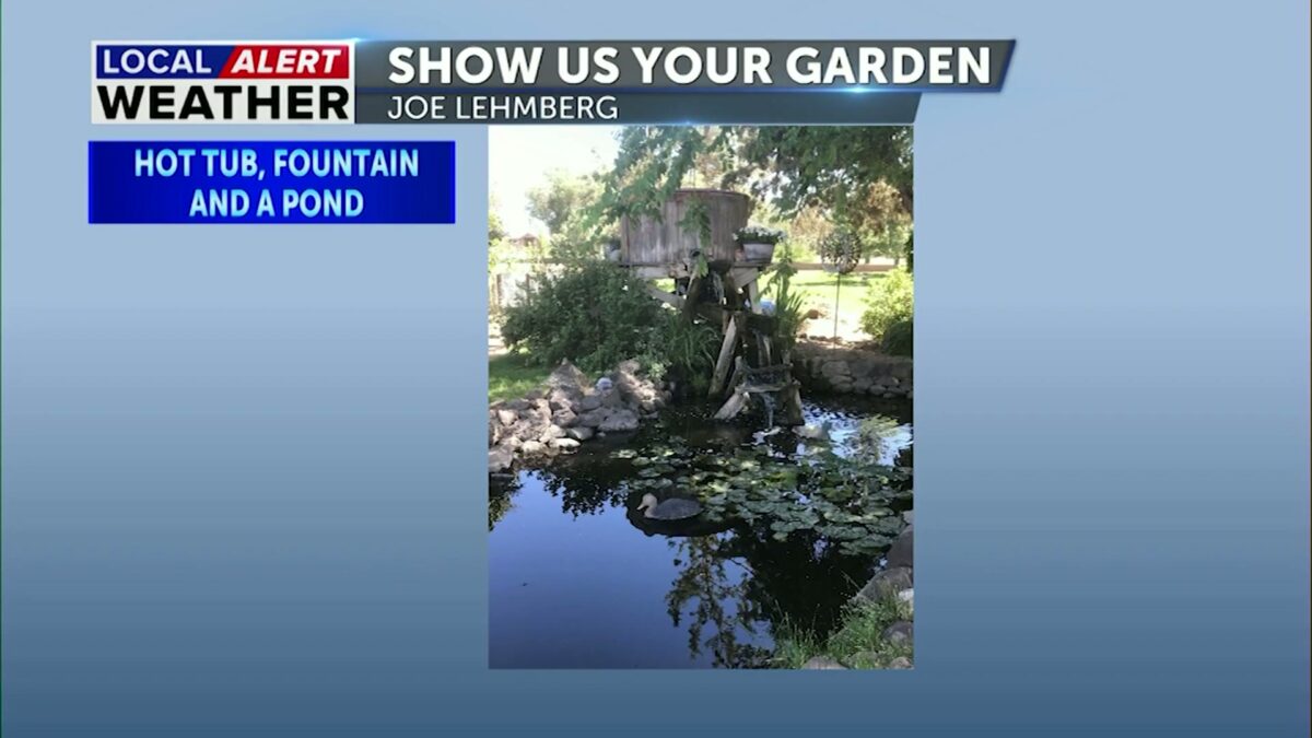 Show Us Your Garden:  This week