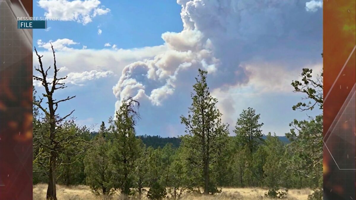 ‘Very different spot’: ODF says 2025 wildfire season has seen much less acreage burned so far