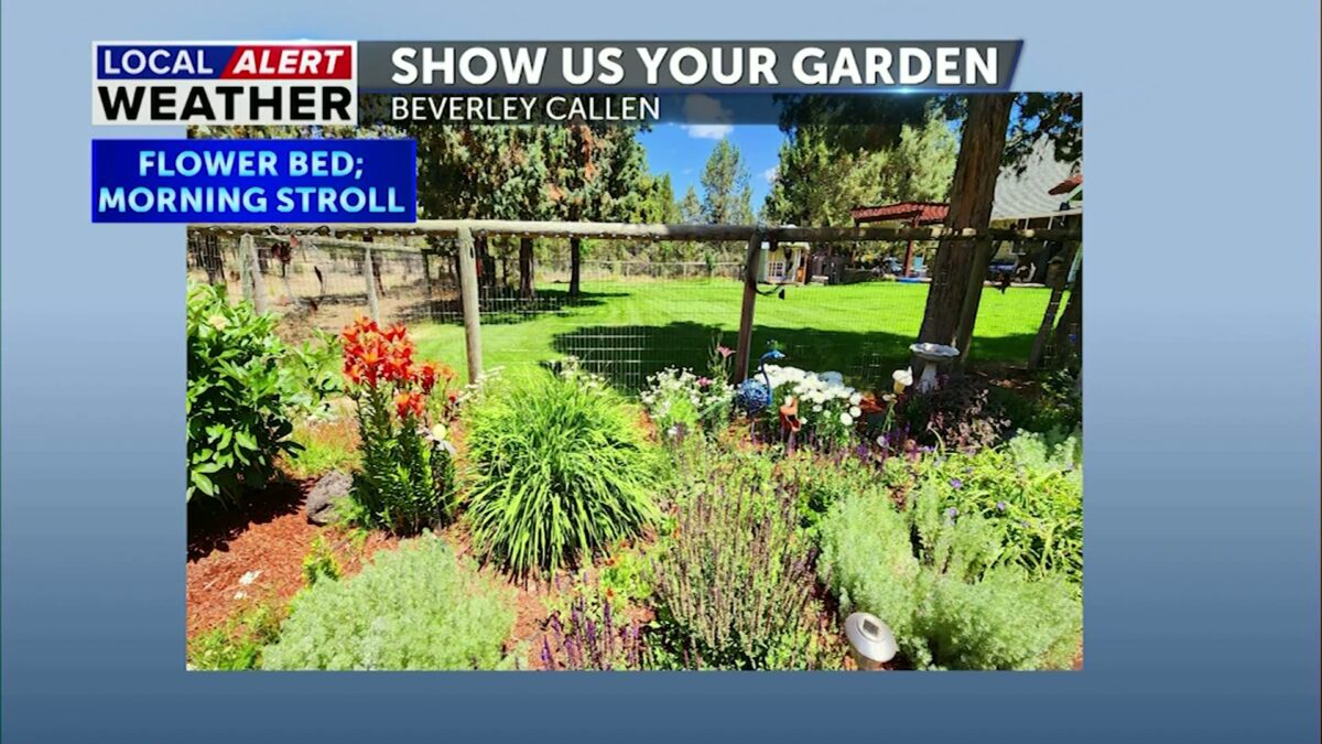 Show Us Your Garden:  Friendship