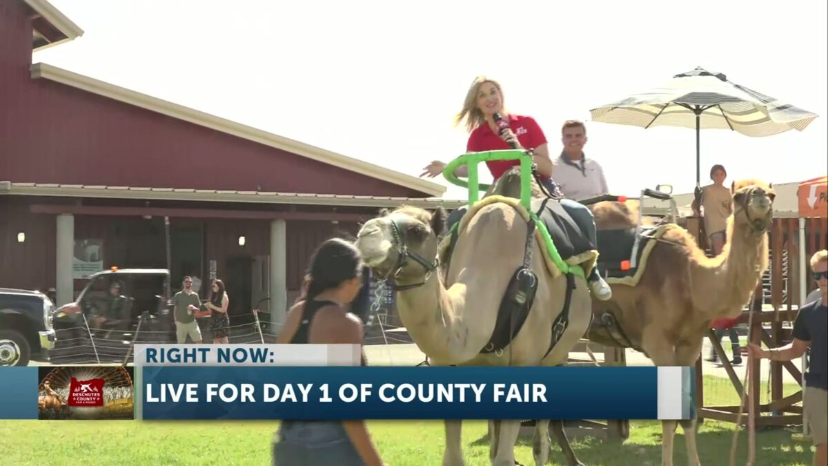 Riding high: Lynsey and Dylan take a pair of camels for a spin on opening day of the Deschutes County Fair
