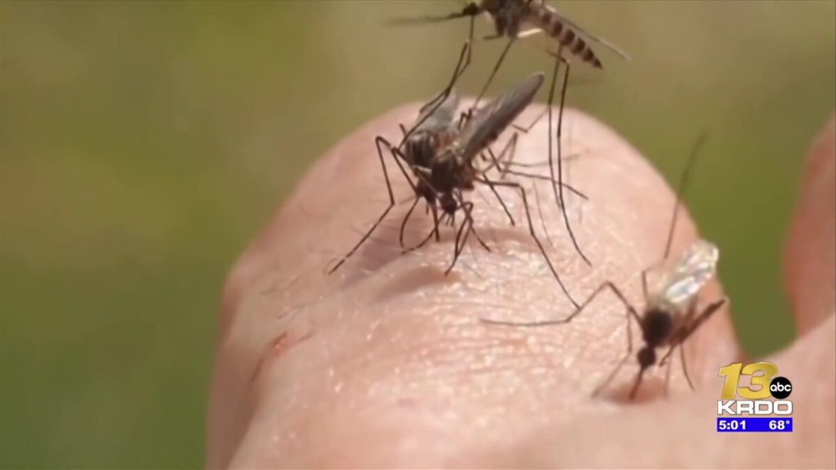How to protect yourself from West Nile virus