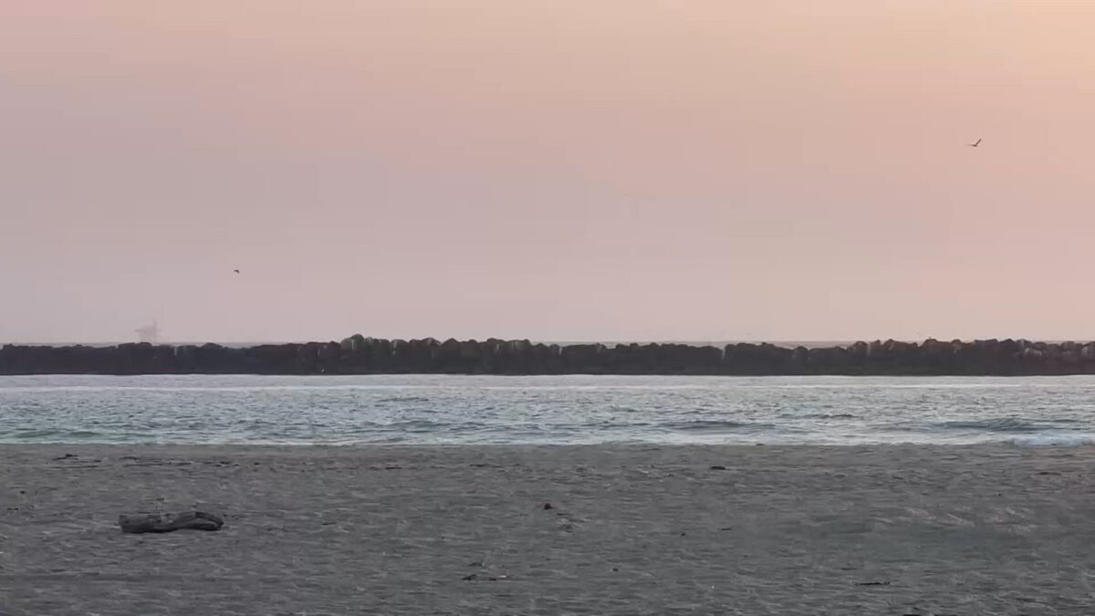 Hollywood Beach Neighbors Oppose Impacts from Army Corps of Engineers Proposal