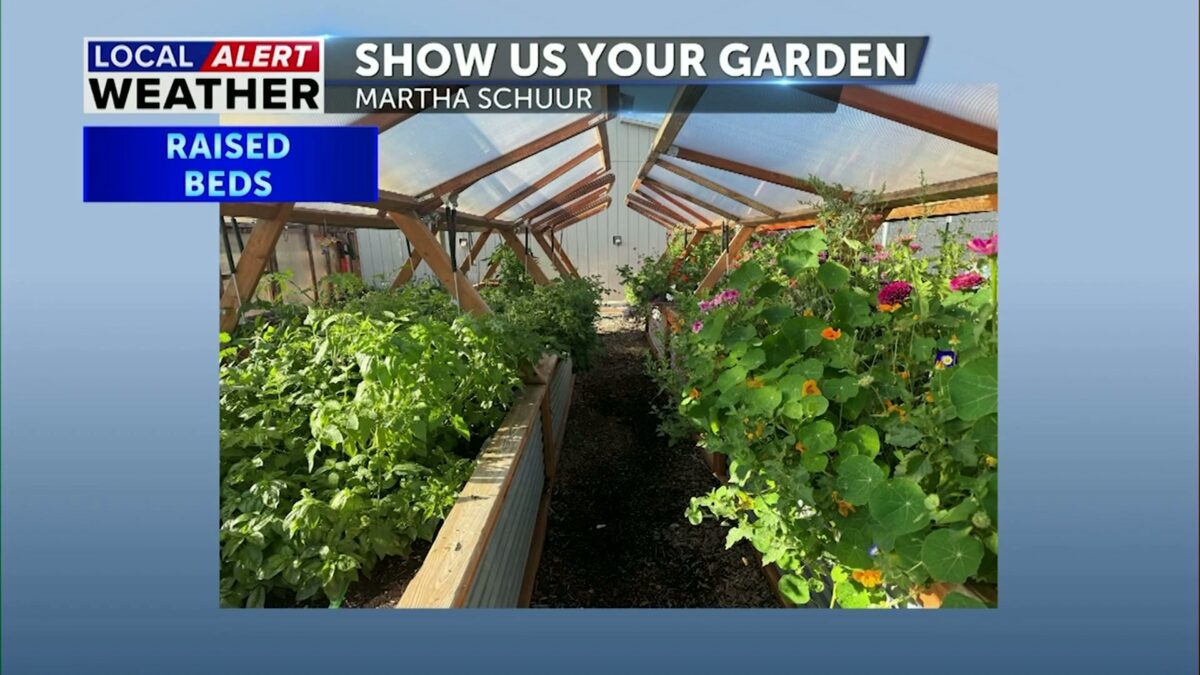 Show us your Garden: A pioneer