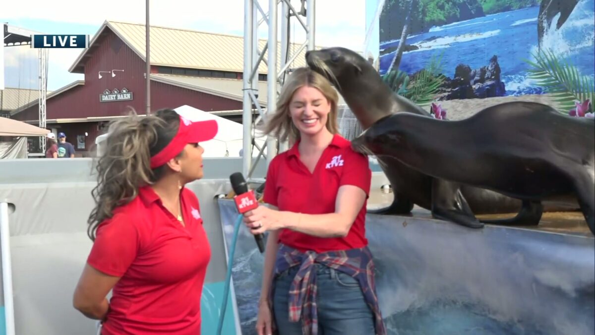 Two dancing sea lions at the Deschutes County Fair are also super-friendly to our Lynsey Harris
