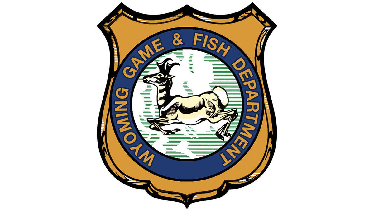 Wyoming Game and Fish law enforcement statistics released
