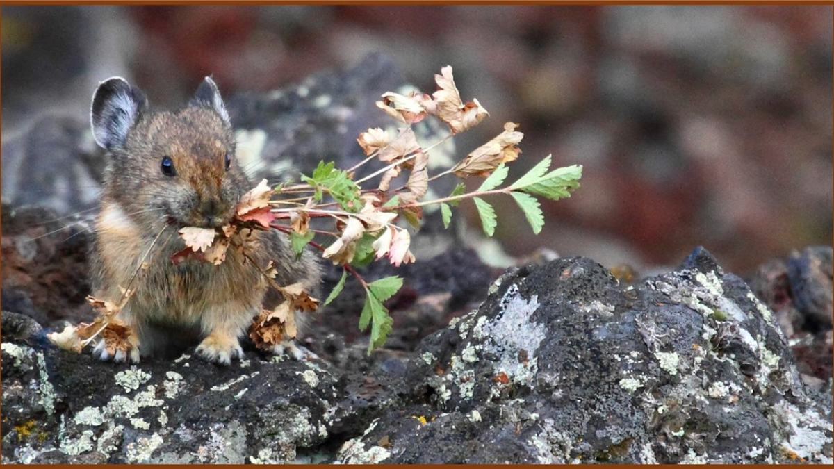 Photography workshops to be held at Craters of the Moon to celebrate National Public Lands Day