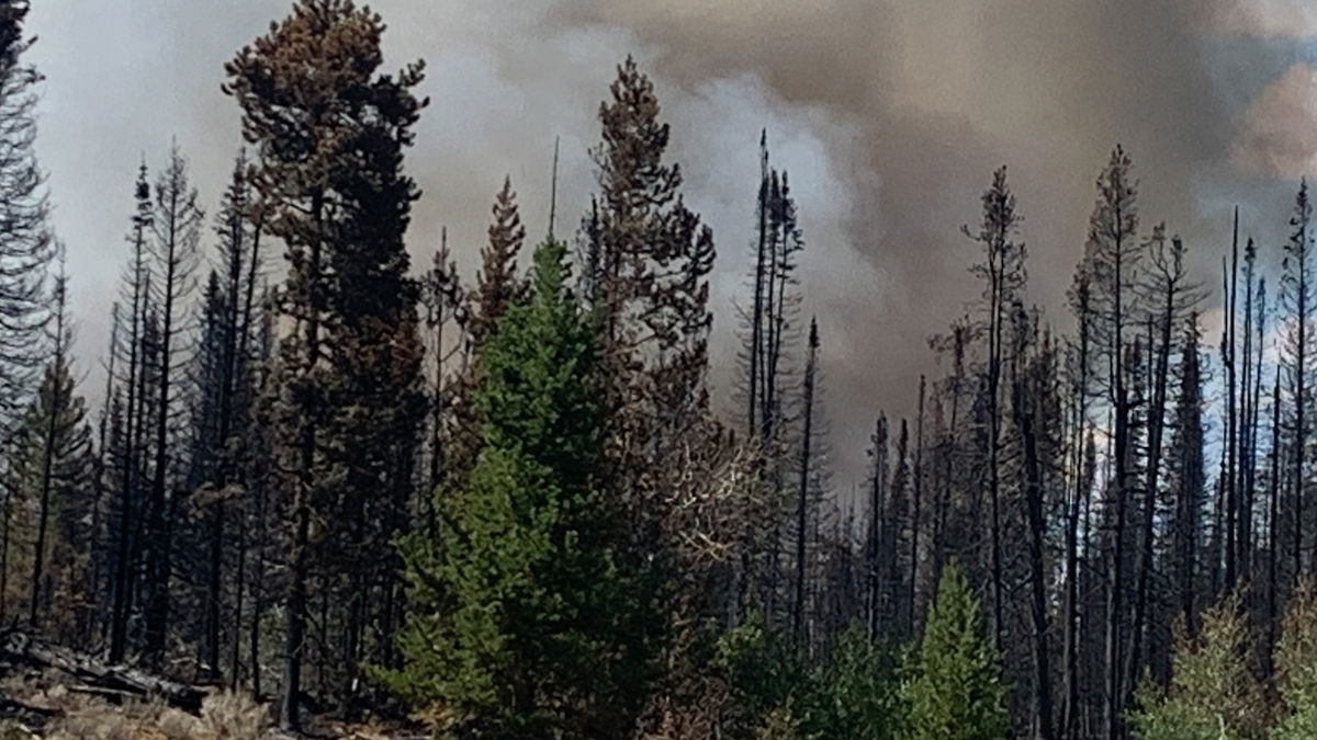Containment reaches 31% as Dollar Lake Fire pushes deeper into Bridger Wilderness Area