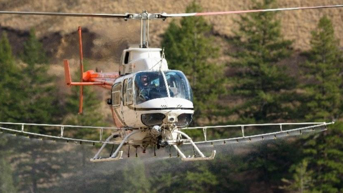 Helicopters to apply herbicide to control invasive weeds in Bear Lake Plateau in October