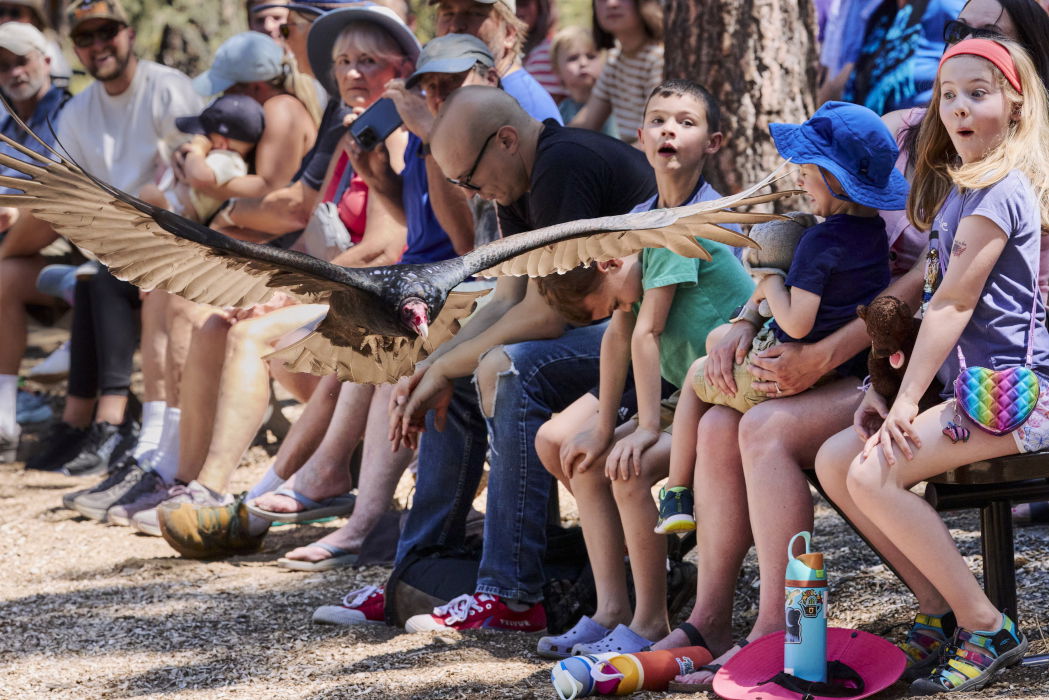 Bend’s High Desert Museum receives accreditation from Association of Zoos and Aquariums
